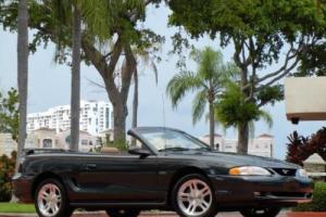1998 Ford Mustang GT Convertible Photo