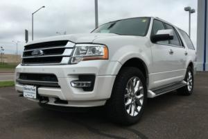 2015 Ford Expedition Photo