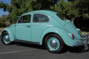1963 Volkswagen Beetle - Classic Beetle Photo