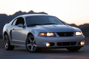 2003 Ford Mustang Svt Photo