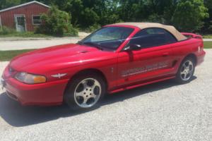 1994 Ford Mustang Pace Car Photo