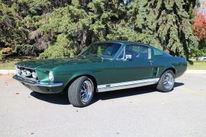 Ford: Mustang GT Fastback | eBay Photo