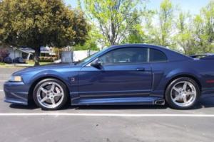 2001 Ford Mustang Roush Stage 3 Photo