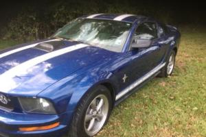 2006 Ford Mustang Standard Photo