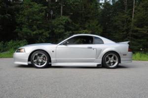 2003 Ford Mustang 2003 Roush Stage 3 Premium Photo