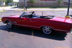 1966 Buick WILDCAT 401 NAILHEAD CONVERTIBLE