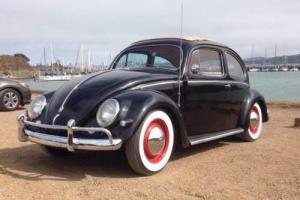 1956 Volkswagen Beetle - Classic Photo