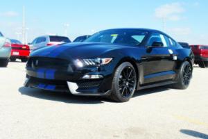 2017 Ford Mustang SHELBY GT350 Photo