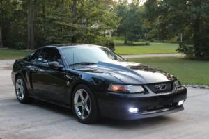 2004 Ford Mustang 40th Anniversary Photo