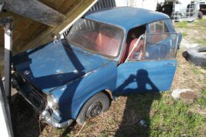 Morris 1100 Barn Find Wreck Clearance GOT TO GO in NSW