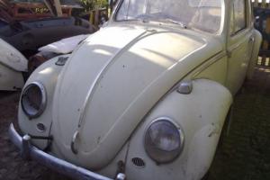 Classic 1965 VW Beetle 99 Rust Free NO BOG Reco Motor Patina Ratty in QLD