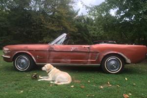 1966 Ford Mustang