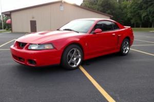 2004 Ford Mustang SVT Photo