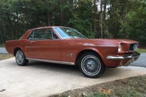 1966 Ford Mustang