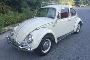 1966 Volkswagen Beetle - Classic Rotisserie Restoration Photo