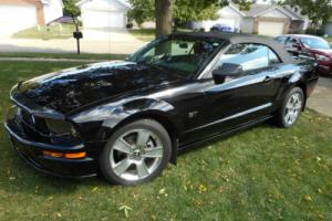 2006 Ford Mustang GT Photo