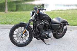 2012 Harley-Davidson XL883 Photo