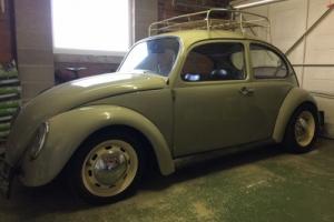 vw beetle