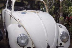 Classic 1962 VW Beetle 99% rust free no bog reco motor patina ratty Photo