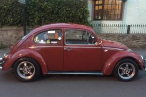 vw classic beetle 1970