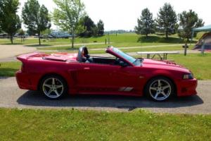 2002 Ford Mustang S281 Photo