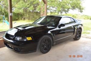 2003 Ford Mustang Photo