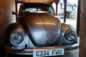Super rare 50 year jahre kafer VW beetle for sale