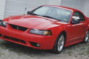 1999 Ford Mustang Svt Photo