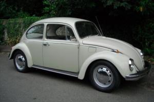 Classic VW Beetle 1969 beige 1500