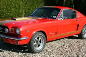 1965 Mustang Fastback GT 350 Tribute,Fully Restored,V8 289 Manual Photo