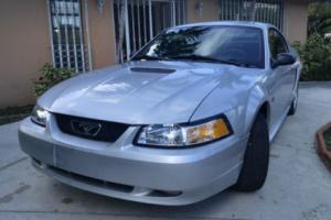 2000 Ford Mustang GT Photo