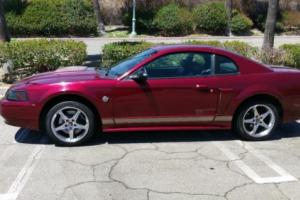 2004 Ford Mustang GT Photo