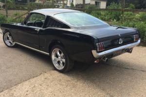 Ford Mustang Fastback Photo