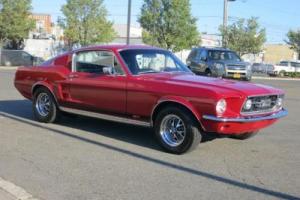 1967 Ford MUSTANG FASTBACK Photo