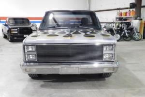 1981 Chevrolet Other Pickups SHORT WIDE Photo