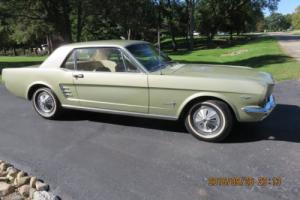 1966 Ford Mustang coup
