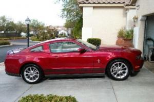 2010 Ford Mustang Coupe Photo