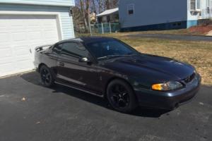 1996 Ford Mustang Photo