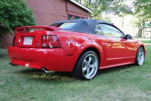 2003 Ford Mustang GT Photo