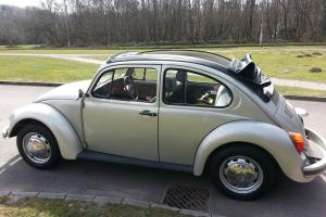 Volkswagen Beetle  Silver eBay Motors #261223843968 Photo