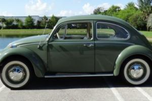 1966 Volkswagen Beetle-New Bug