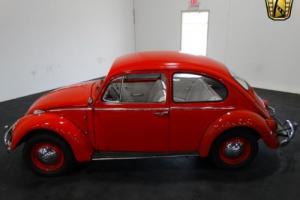 1965 Volkswagen Beetle-New Photo