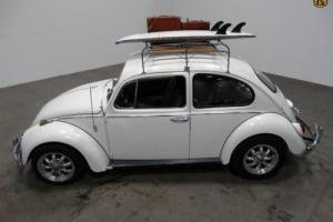 1966 Volkswagen Beetle-New Photo