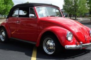 1970 Volkswagen Beetle-New Photo