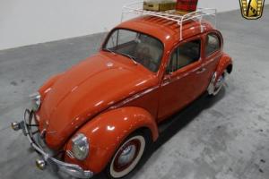 1960 Volkswagen Beetle-New Photo