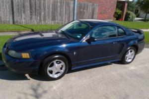 2001 Ford Mustang Photo