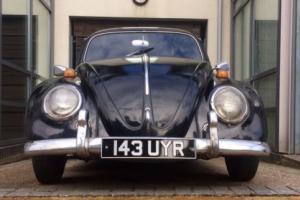 classic 1958 vw beetle Photo