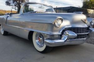 1955 Cadillac Eldorado Photo