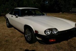 1977 Jaguar XJS Photo