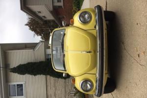 1979 Volkswagen Beetle - Classic